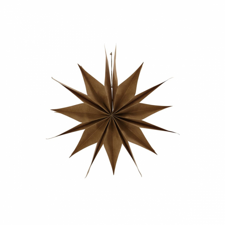 Kerstster \'Capella\' L - Natuur in de groep Inrichting / Decoratie / Kerstversiering bij Reforma (206120800)