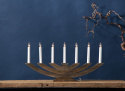 Adventskaarsenhouder \'Navida\' - Natuur