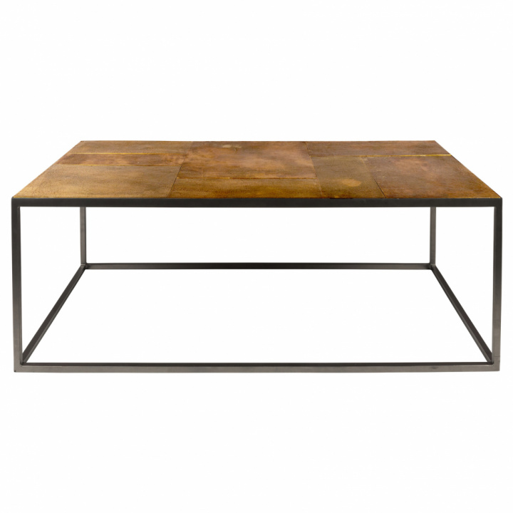 Salontafel \'Lee\' - Messing in de groep Meubels / Tafels / Salontafels bij Reforma (2200021)