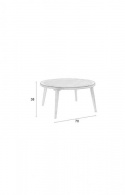 Salontafel \'Haru\' - Natuurlijk
