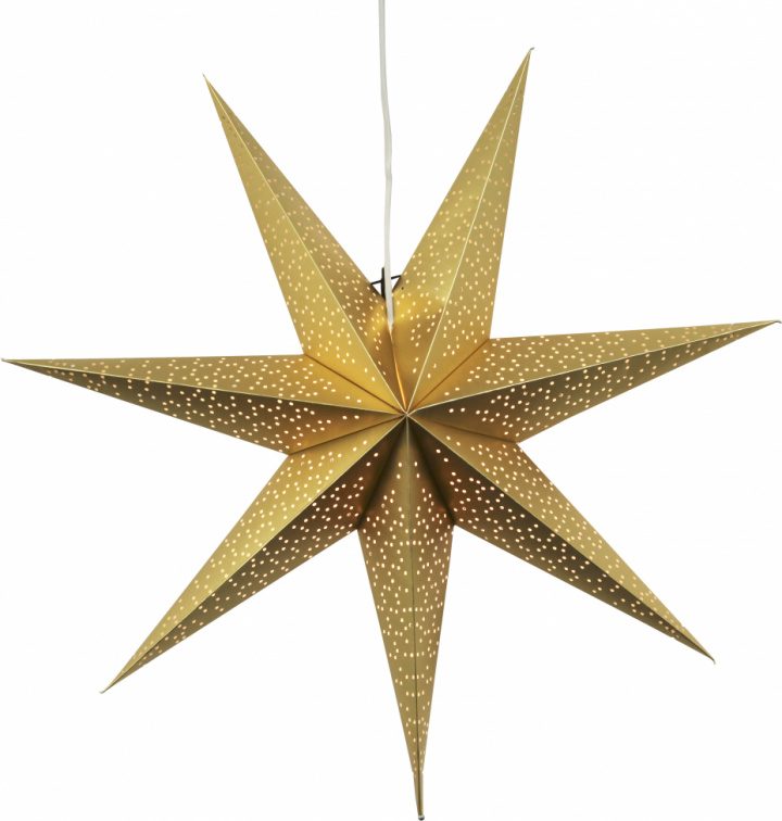Kerstster \'Dot\' 70cm - Goud in de groep Kerst bij Reforma (231-53)