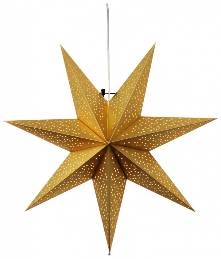 Kerstster \'Dot\' 54cm - Goud in de groep Kerst bij Reforma (237-27)