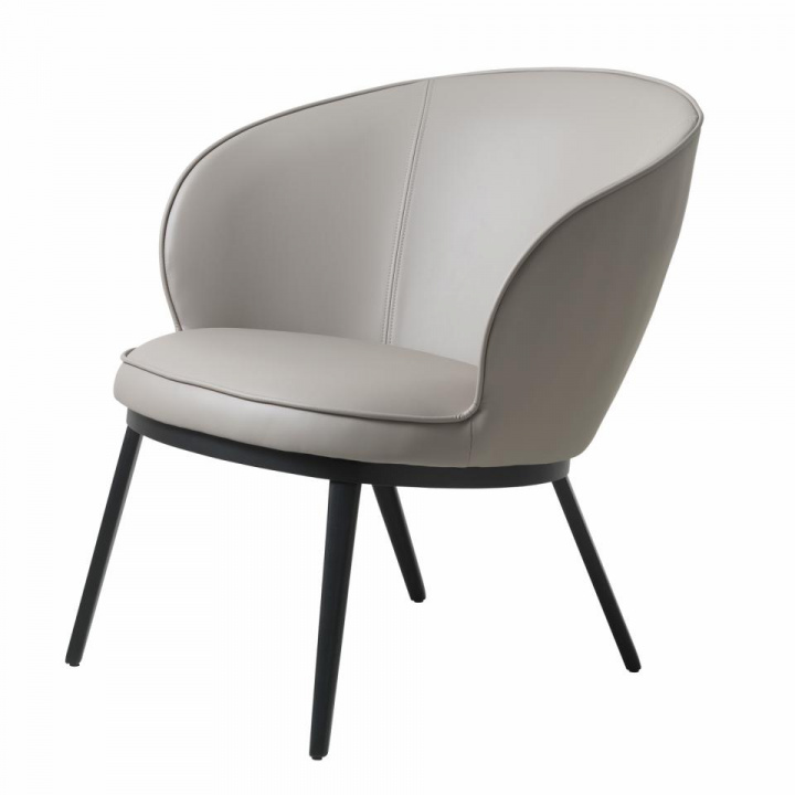 Lounge stoel \'Lyon\' - Mol in de groep Meubels / Zitmeubels / Stoelen bij Reforma (41180002)