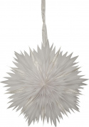Kerstster \'Dis\' - Wit