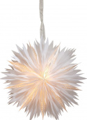 Kerstster \'Dis\' - Wit