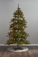 Kerstboom \'Arvika\' - Groen