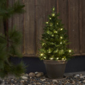 Kerstboom \'Byske Verlichting\' - Groen