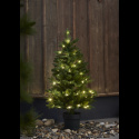 Kerstboom \'Byske Verlichting\' - Groen