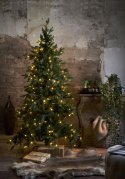 Kerstboom \'Larvik Verlichting\' - Groen