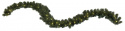 Slinger \'Ottawa\' - Groen
