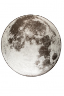 Vloerkleed \'Moon Outdoor\' 200cm - Grijs
