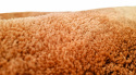 Ronde tapijt \'Aranga Super Soft\' 200cm - Oranje