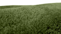Ronde tapijt \'Aranga Super Soft\' 120cm - Olijf
