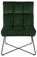 Fauteuil \'Bjuråker\' - Groen