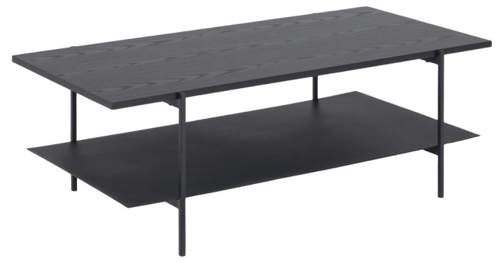 Salontafel \'Hablingbo\' - Zwart in de groep Meubels / Tafels / Salontafels bij Reforma (90077)
