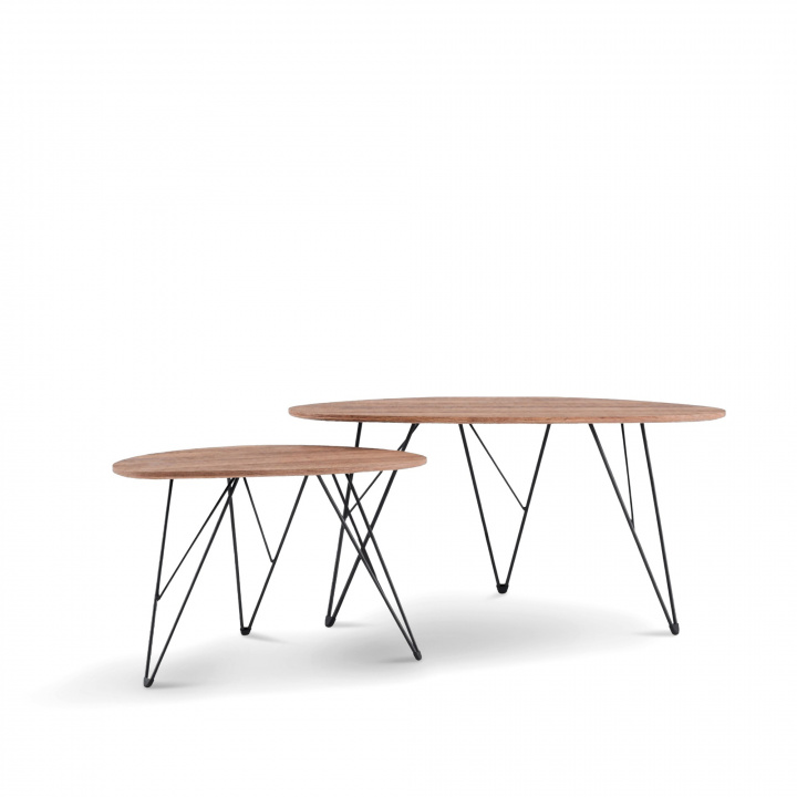 Salontafel \'Twin\' 2 delen - Natuurlijk in de groep Meubels / Tafels / Salontafels bij Reforma (CT-912)