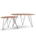 Salontafel \'Twin\' 2 delen - Natuurlijk