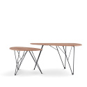 Salontafel \'Twin\' 2 delen - Natuurlijk