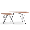 Salontafel \'Twin\' 2 delen - Natuurlijk