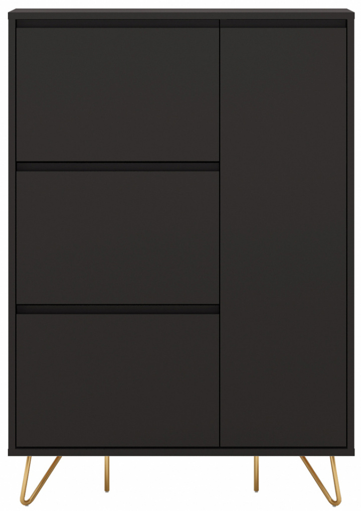 Schoenenkast \'Elle\' - Zwart/Messing in de groep Meubels / Planken & opslag / Kasten en dressoirs bij Reforma (ELLESC01-black)