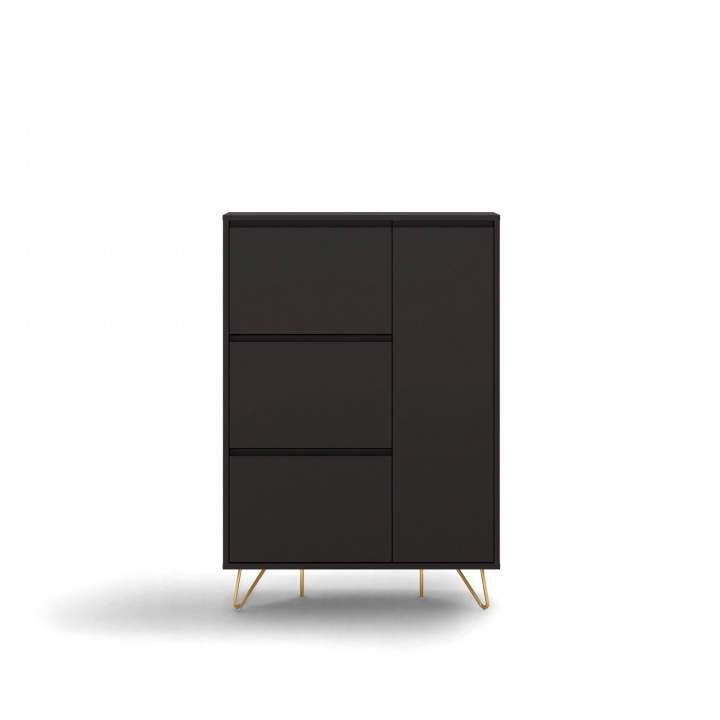 Schoenenkast \'Elle\' - Zwart/Messing in de groep Meubels / Planken & opslag / Kasten en dressoirs bij Reforma (ELLESC01-black)