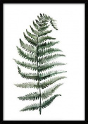 Canvas Poster L - Tropische plant 10