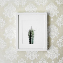 Poster - \'Cactus\'