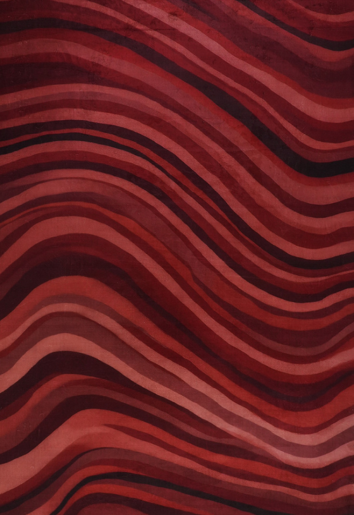 Tapijt \'Orlisse\' - Rood in de groep Inrichting / Vloerkleden bij Reforma (RG01-48)