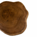 Salontafel \'Earth\' - Hout