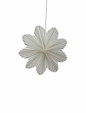 Adventster \'Daisy\' 60cm - Wit