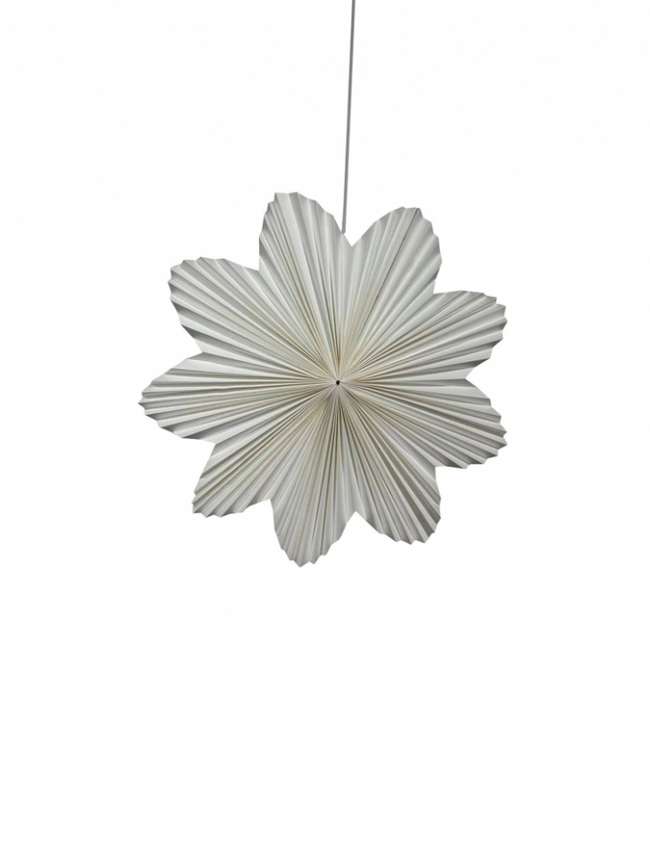 Adventster \'Daisy\' 60cm - Wit in de groep Verlichting / Lampen / Kerstverlichting bij Reforma (WW-advent-star-white)