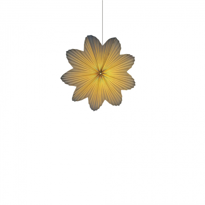 Adventster \'Daisy\' 60cm - Wit in de groep Verlichting / Lampen / Kerstverlichting bij Reforma (WW-advent-star-white)