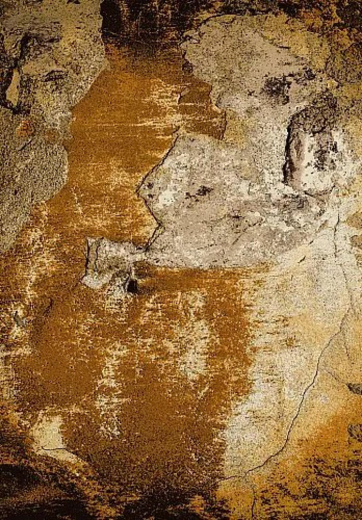 Wiltonmat \'Olivera\' 80x250cm - Bruin in de groep Inrichting / Vloerkleden / Geweven Vloerkleden bij Reforma (X10117909)