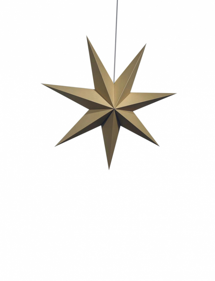Adventster \'Sally\' 60cm - Bruin in de groep Verlichting / Lampen / Kerstverlichting bij Reforma (advent-star-brown)