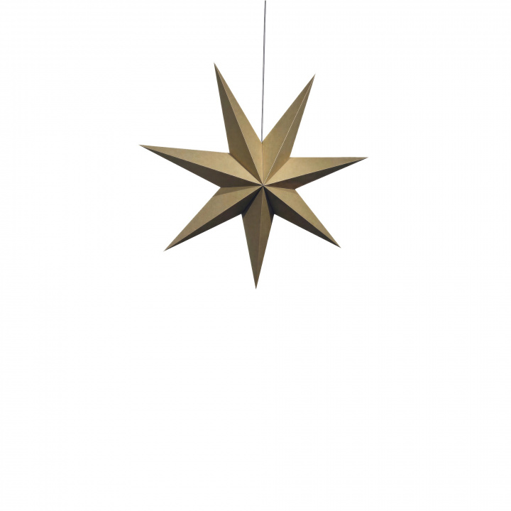 Adventster \'Sally\' 60cm - Bruin in de groep Verlichting / Lampen / Kerstverlichting bij Reforma (advent-star-brown)