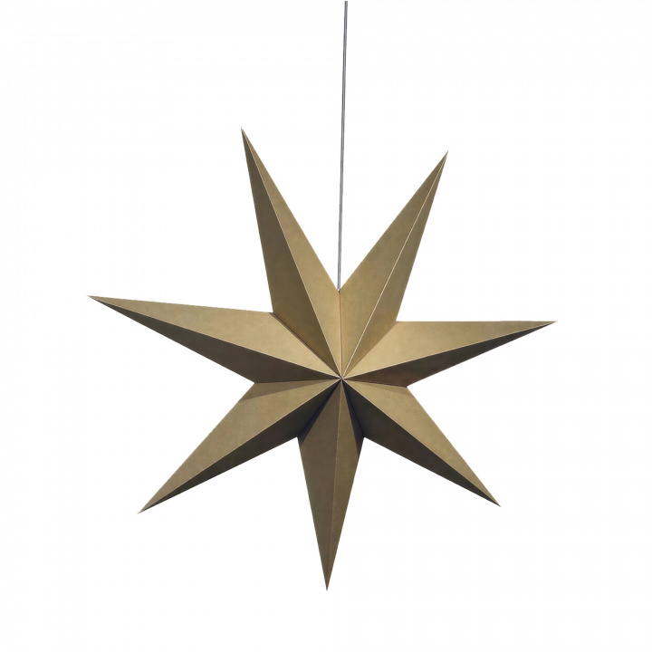 Adventster \'Sally\' 60cm - Bruin in de groep Verlichting / Lampen / Kerstverlichting bij Reforma (advent-star-brown)