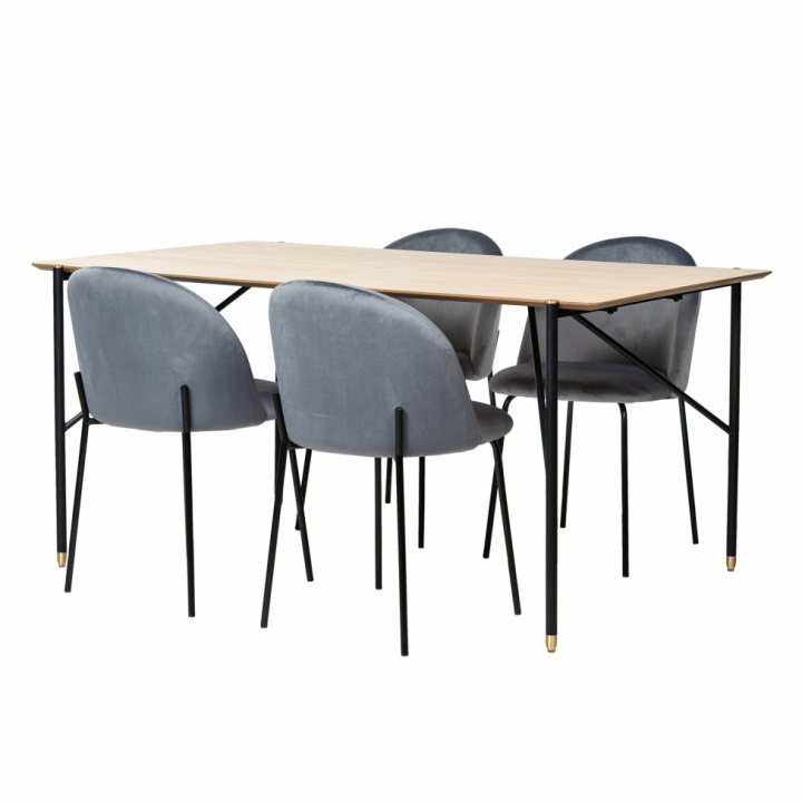 Eettafel \'Hornstull Elegant\' - 1 Tafel & 4 Stoelen in de groep Meubels / Tafels / Eetset bij Reforma (matgrupp32)